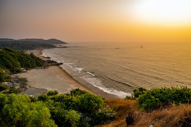 
Top 10 things to do in Goa while attending Sunburn Goa Festival
