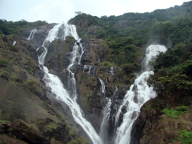 
Top 10 things to do in Goa while attending Sunburn Goa Festival
